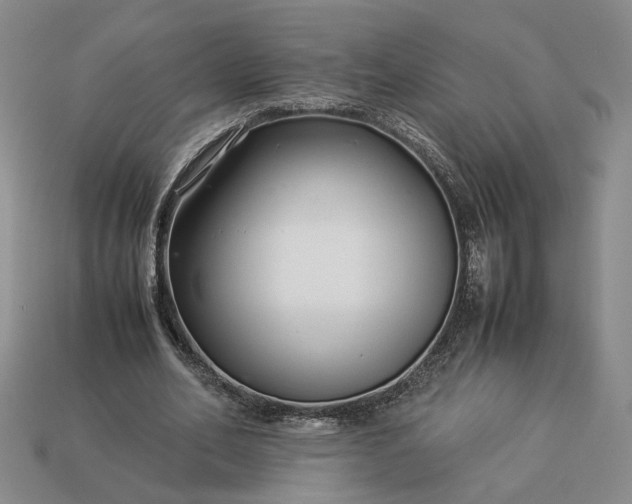 X0000113370582200909291053