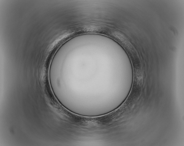 X0000113370583200909291053