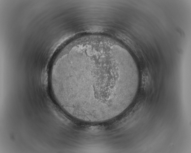 X0000113370584200909291053