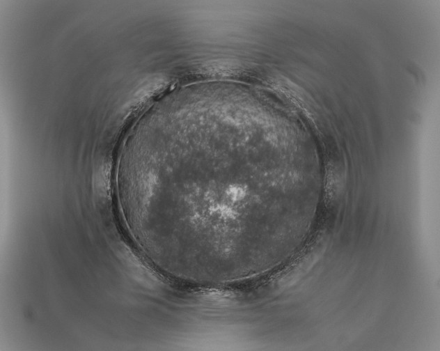 X0000113370585200909291053