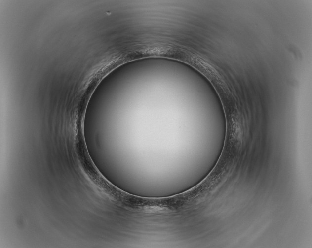 X0000113370586200909291053