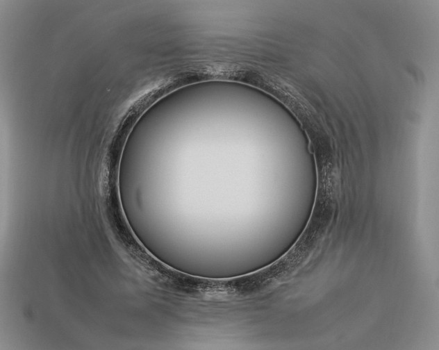 X0000113370587200909291053