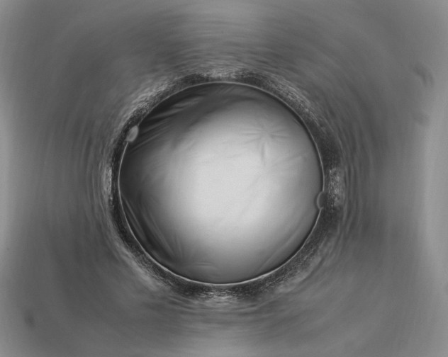 X0000113370589200909291053