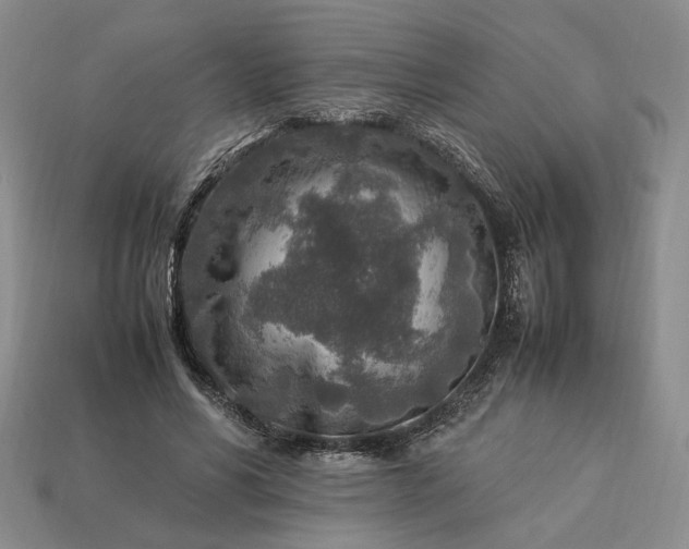 X0000113370590200909291053