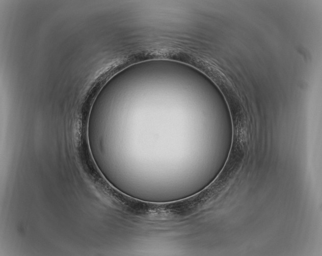 X0000113370591200909291053