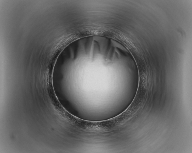 X0000113370594200909291053