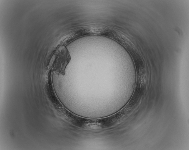 X0000113370595200909291053