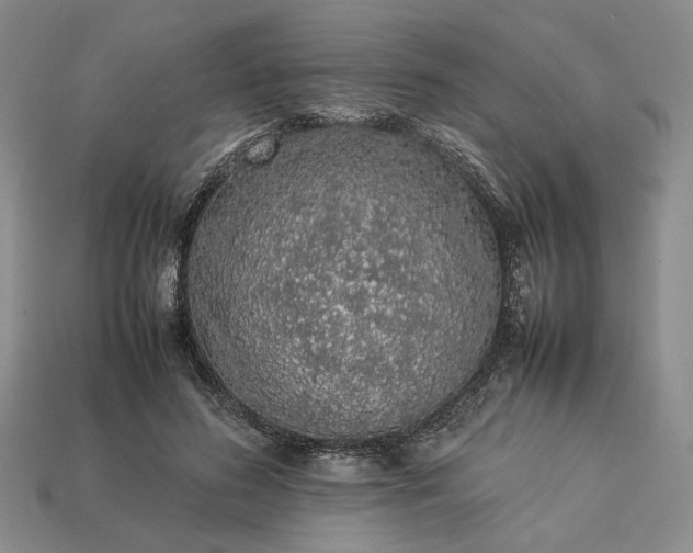 X0000113370596200909291053