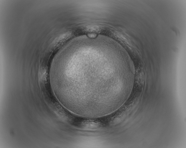 X0000113370597200909291053