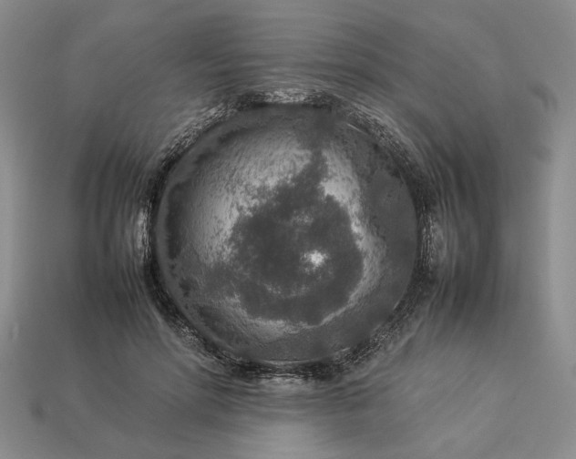 X0000113370598200909291053