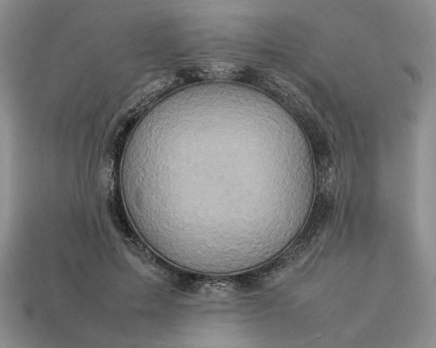 X0000113370599200909291053