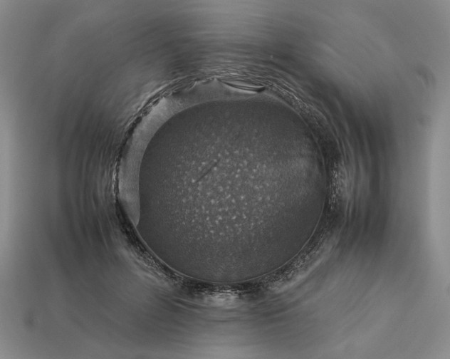 X0000113370600200909291053