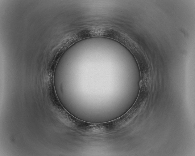 X0000113370601200909291053