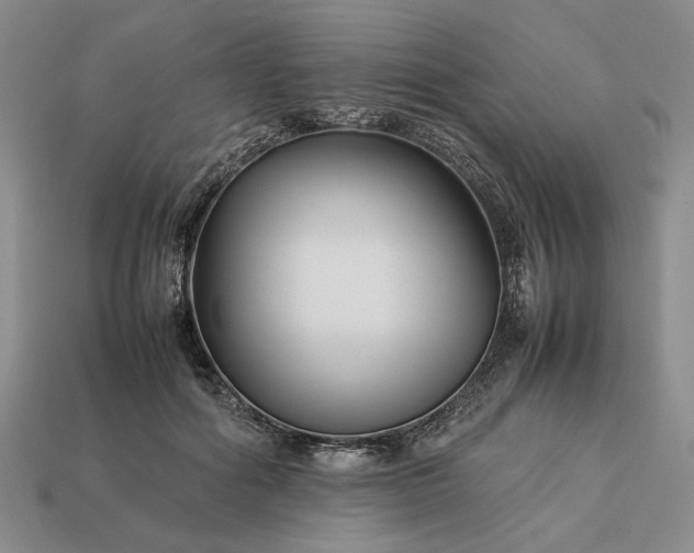 X0000113370602200909291053