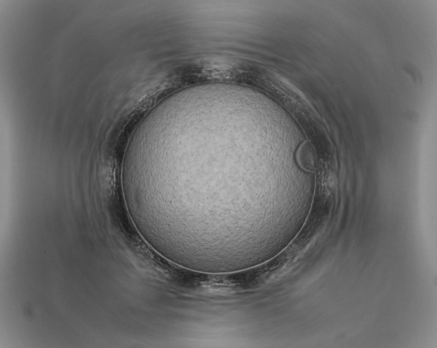 X0000113370603200909291053