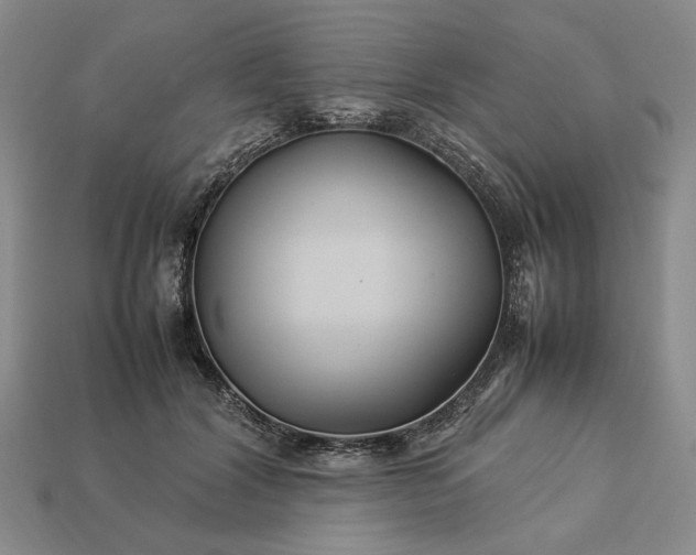 X0000113370604200909291053