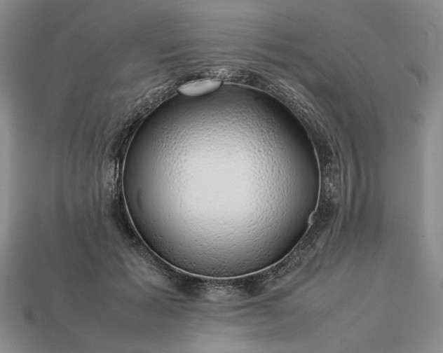 X0000113370605200909291053