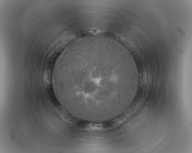 X0000113370606200909291053