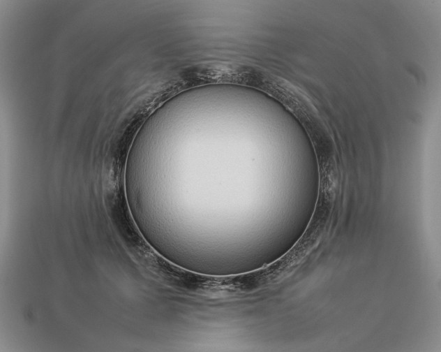 X0000113370607200909291053