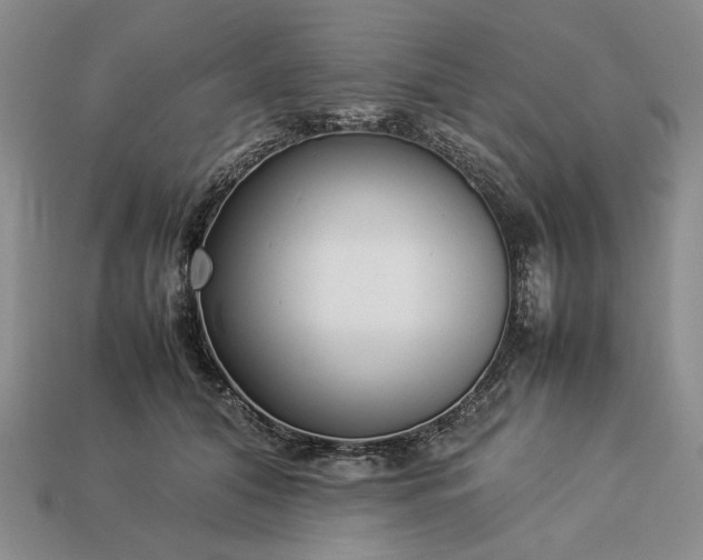 X0000113370608200909291053