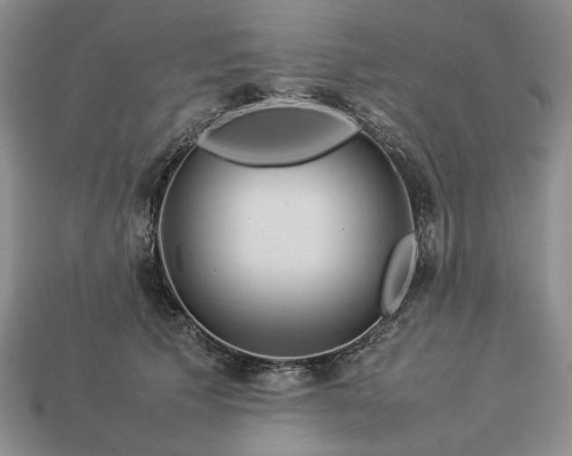 X0000113370609200909291053