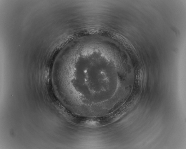 X0000113370610200909291053