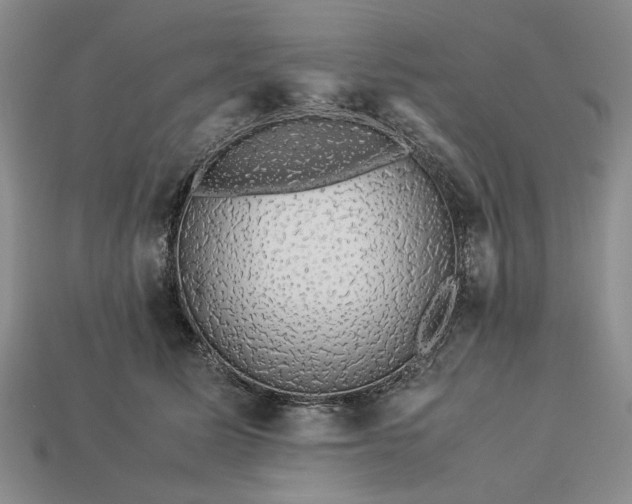 X0000113370611200909291053