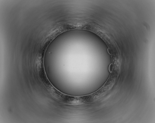 X0000113370612200909291053