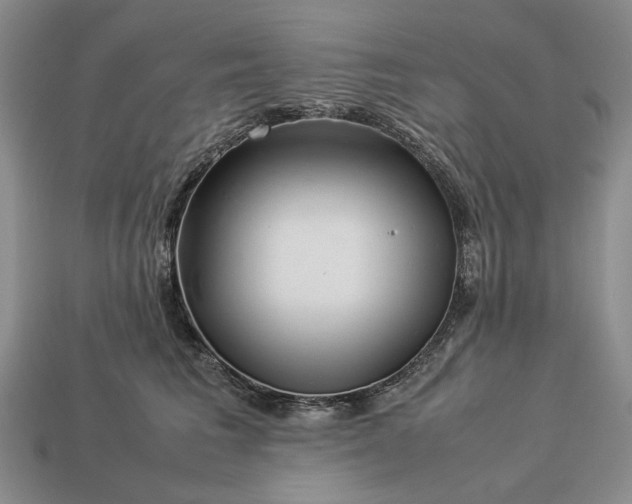 X0000113370613200909291053