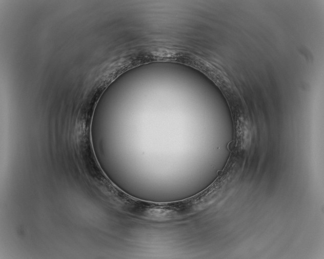 X0000113370614200909291053