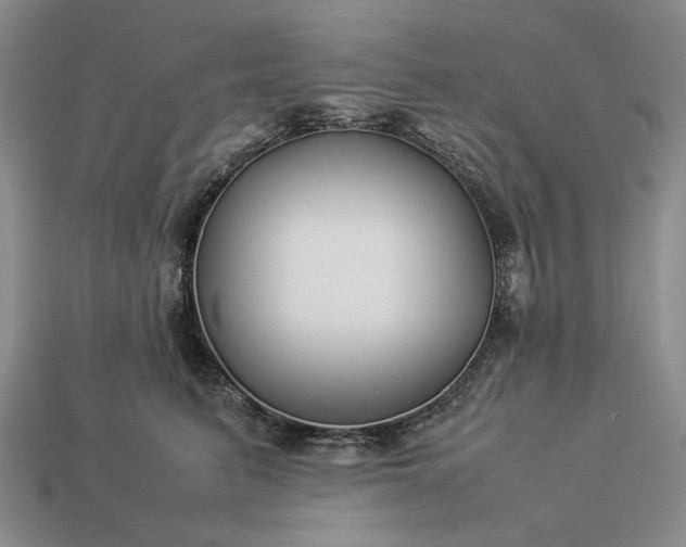 X0000113370615200909291053