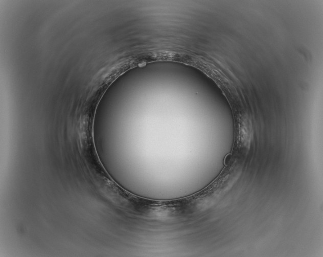 X0000113370616200909291052