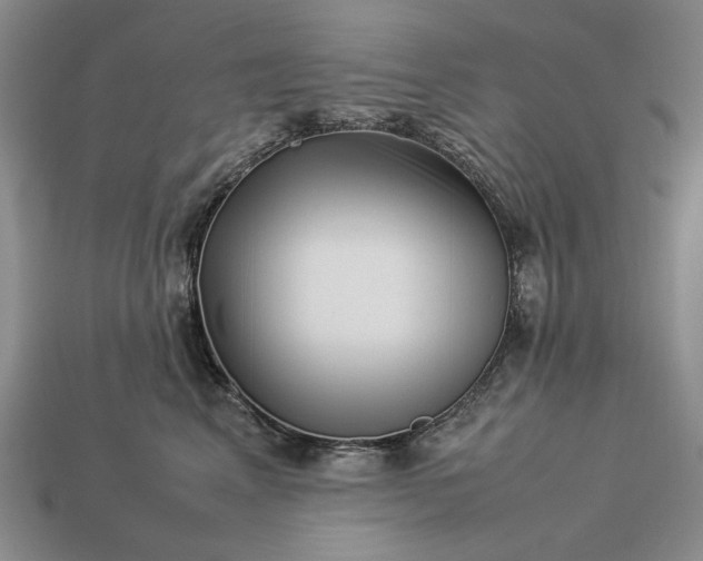 X0000113370617200909291052