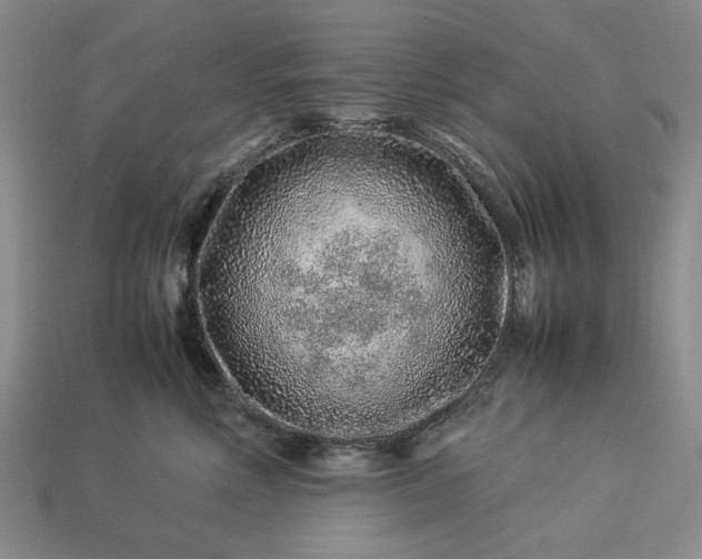 X0000113370618200909291052