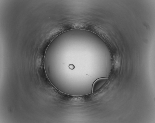 X0000113370619200909291052