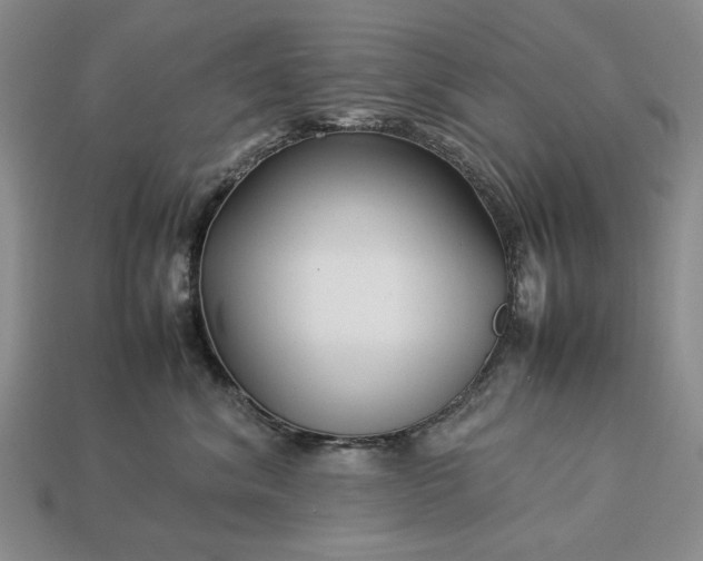 X0000113370620200909291052