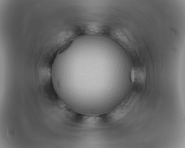 X0000113370621200909291052