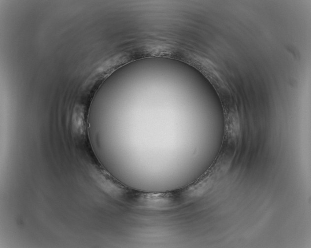 X0000113370622200909291052