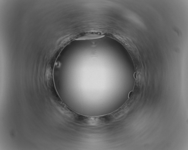 X0000113370623200909291052