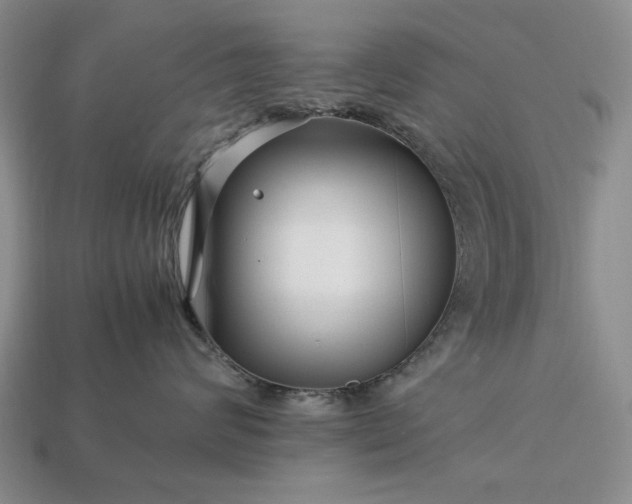 X0000113370624200909291052