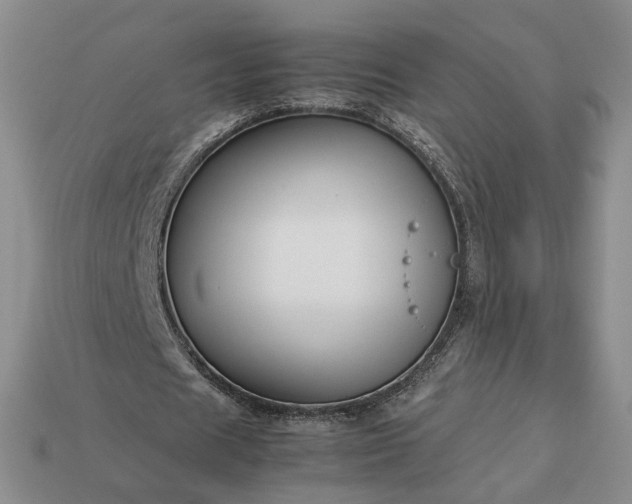 X0000113370625200909291052