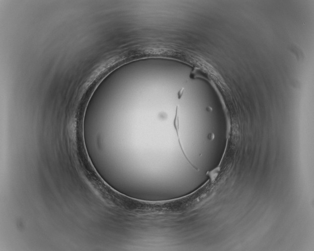 X0000113370626200909291052