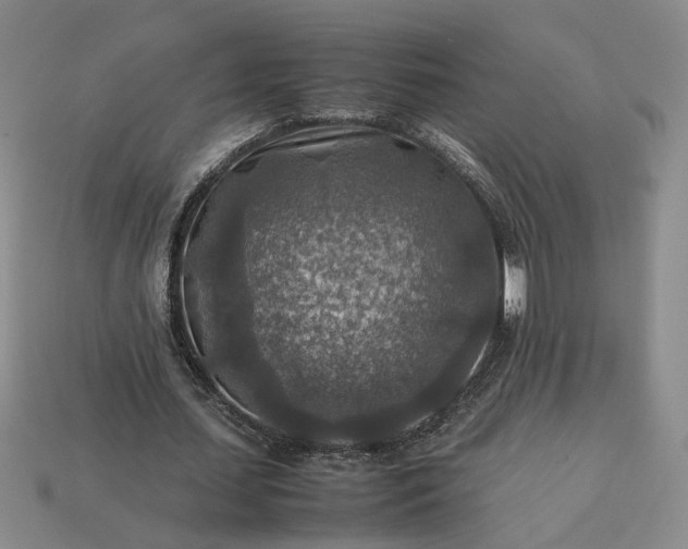 X0000113370627200909291052