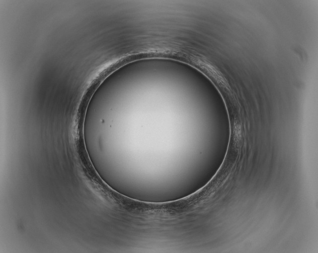 X0000113370628200909291052