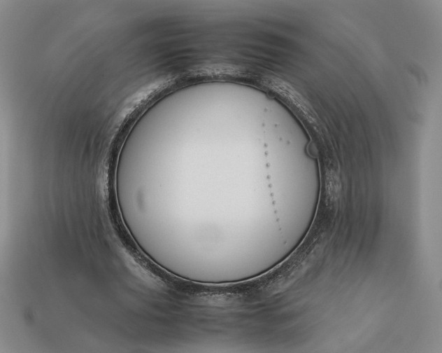 X0000113370629200909291052