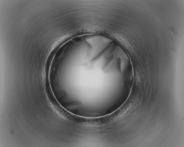 X0000113370630200909291052