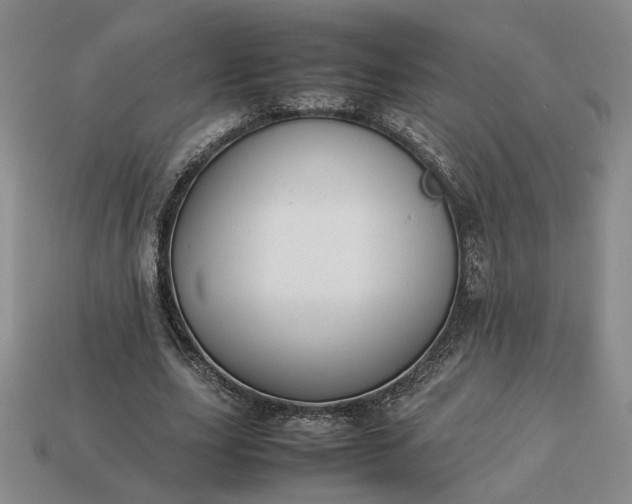 X0000113370631200909291052