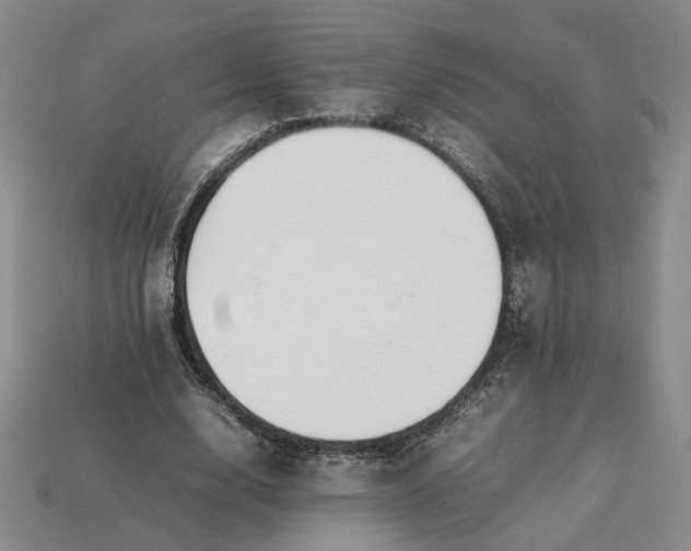 X0000113370632200909291052