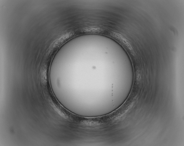 X0000113370633200909291052