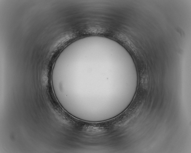 X0000113370635200909291052